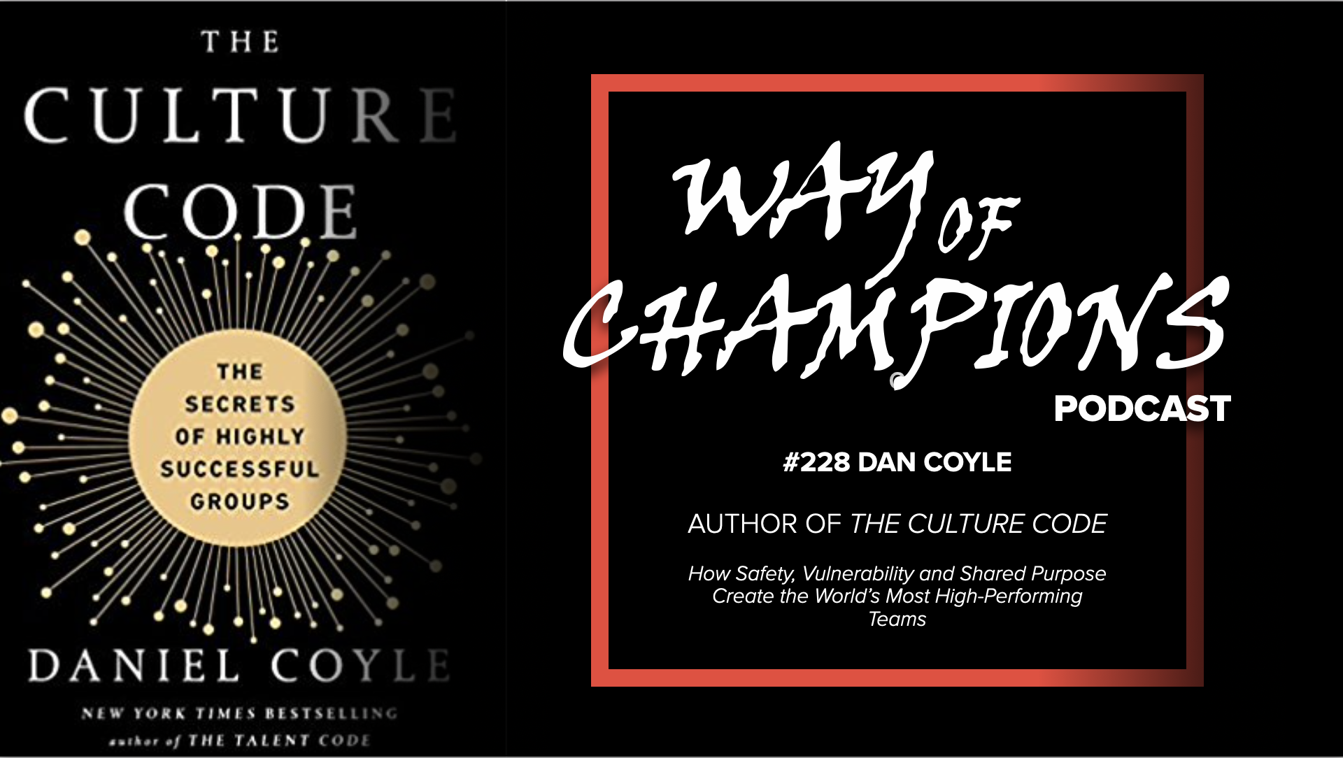#228 Daniel Coyle